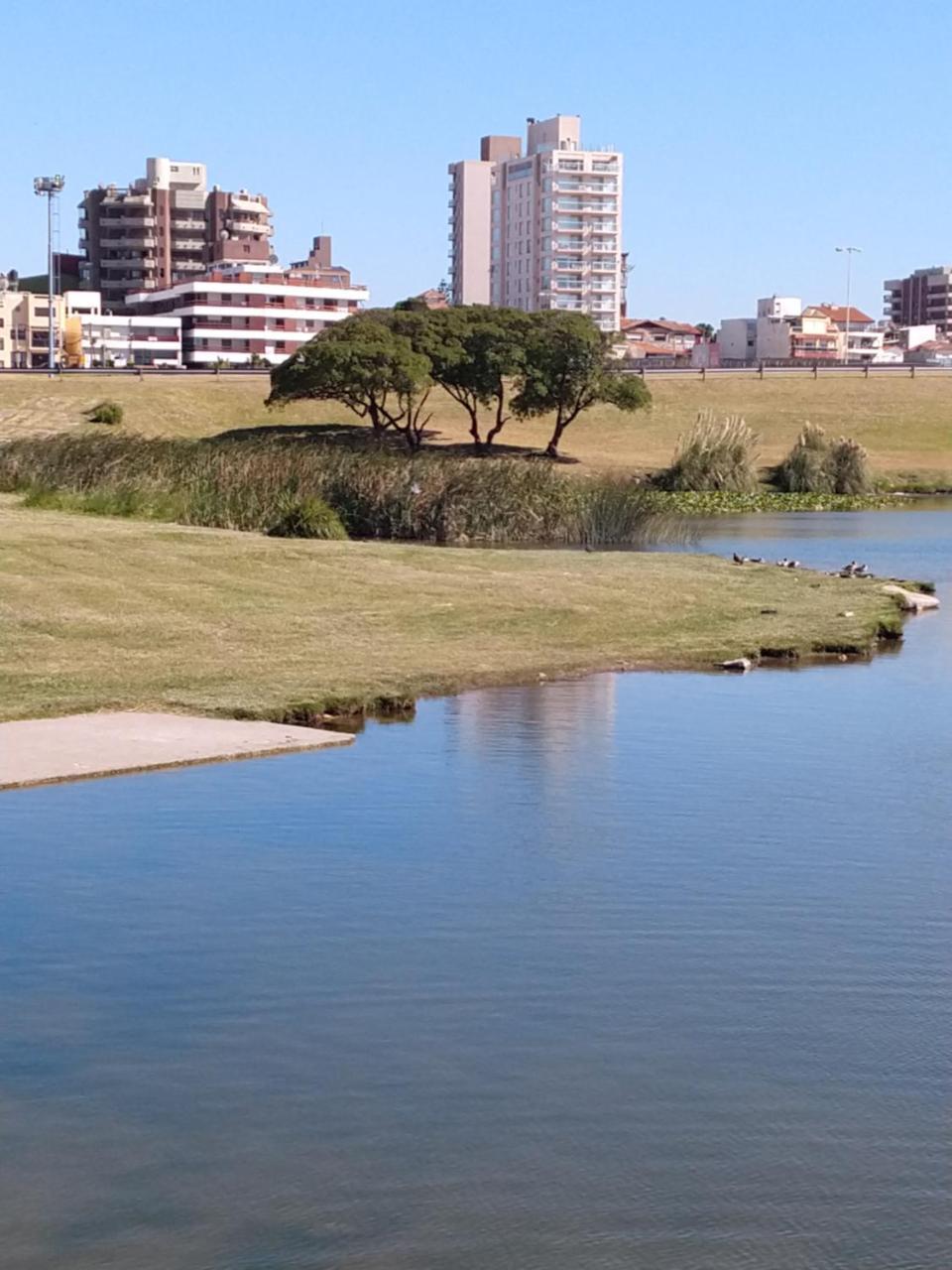 Apartament Edificio Juana Del Mar Mar del Plata Zewnętrze zdjęcie